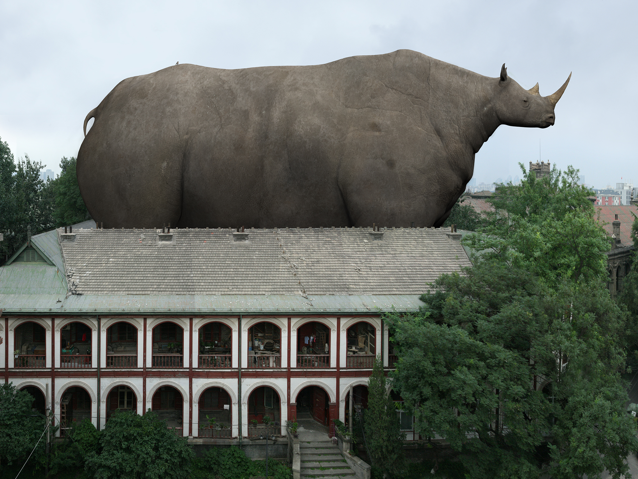 Самая большая в мире г. Огромные животные. Животные гиганты. Самые большие звери. Самые гигантские животные в мире.